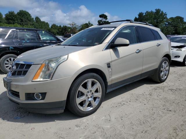 CADILLAC SRX PERFOR 2012 with VIN 3GYFNBE37CS624959 - Photo from auction
