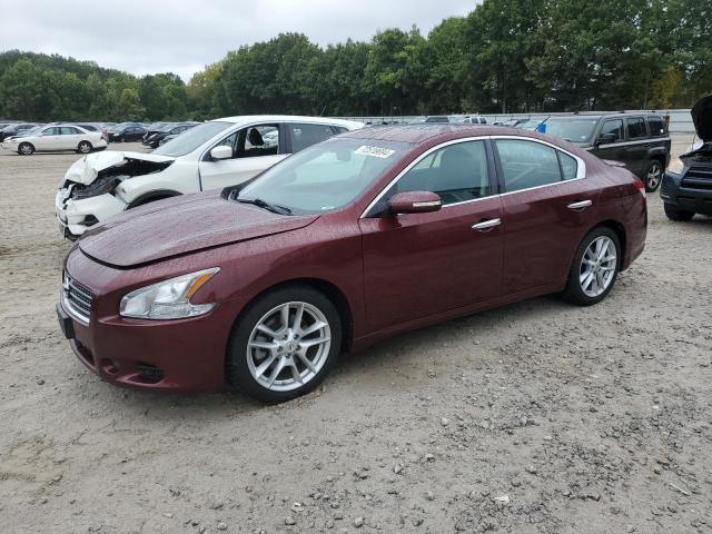 NISSAN MAXIMA S 2010 with VIN 1N4AA5AP8AC875374 - Photo from auction