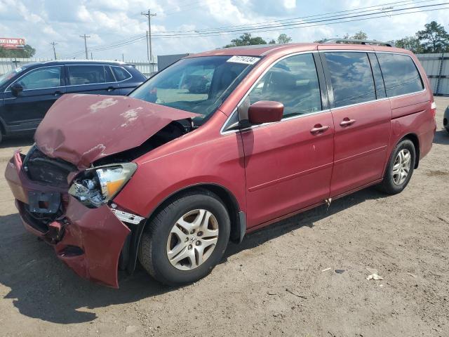 HONDA ODYSSEY EX 2006 with VIN 5FNRL38796B436373 - Photo from auction