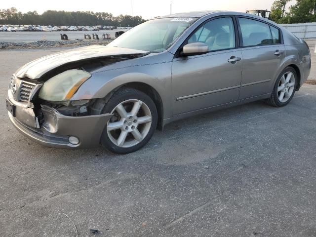 NISSAN MAXIMA SE 2004 with VIN 1N4BA41E24C878448 - Photo from auction