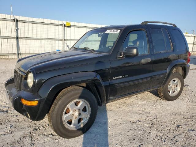 Photo 1 from auction – 2002 JEEP LIBERTY LI with VIN 1J4GL58K82W357008