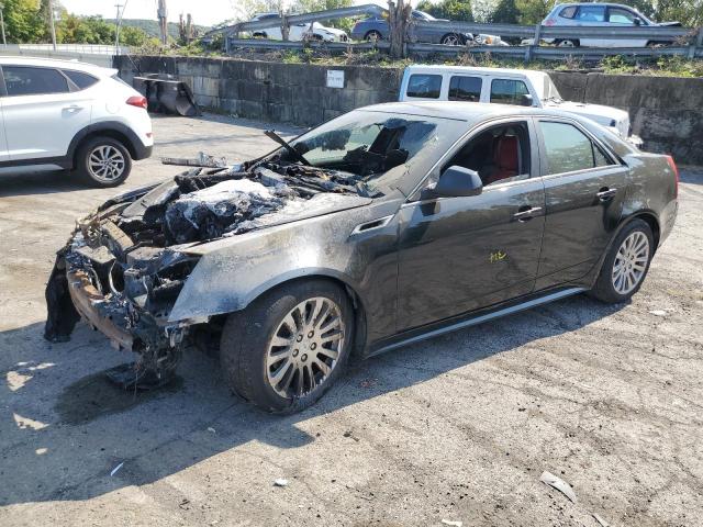 CADILLAC CTS PERFOR 2011 with VIN 1G6DK5ED8B0152456 - Photo from auction