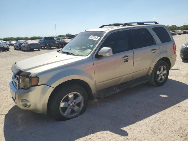FORD ESCAPE LIM 2010 with VIN 1FMCU0EG2AKA45742 - Photo from auction