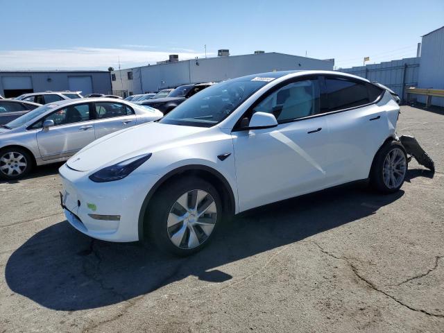 TESLA MODEL Y 2023 with VIN 7SAYGDEE0PF702828 - Photo from auction
