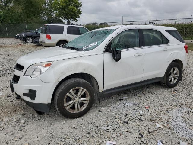 CHEVROLET EQUINOX LS 2010 with VIN 2CNALBEW2A6258917 - Photo from auction