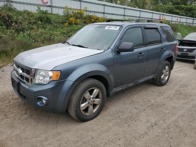 FORD ESCAPE XLT 2010 with VIN 1FMCU9DG0AKB07712 - Photo from auction