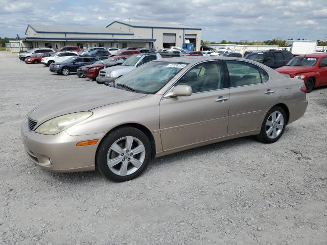 LEXUS ES 330 2005 with VIN JTHBA30G055056551 - Photo from auction