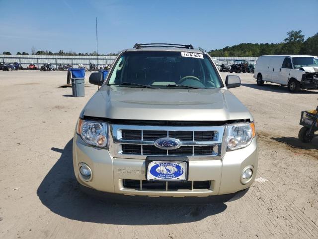 Photo 5 from auction – 2010 FORD ESCAPE XLT with VIN 1FMCU0D75AKA44084