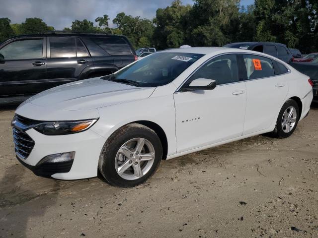 CHEVROLET MALIBU LS 2023 with VIN 1G1ZC5ST0PF180955 - Photo from auction