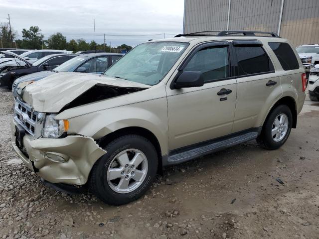 FORD ESCAPE XLT 2010 with VIN 1FMCU0DG9AKD31962 - Photo from auction