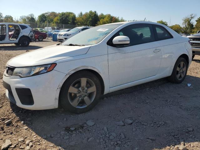 KIA FORTE EX 2012 with VIN KNAFU6A26C5487369 - Photo from auction