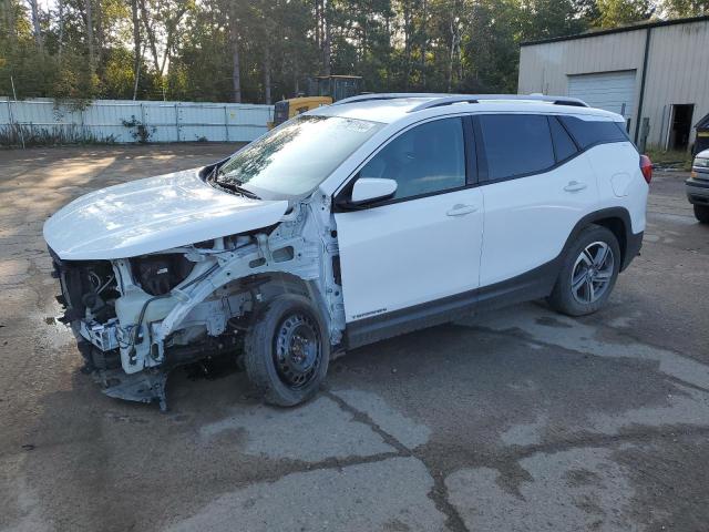 GMC TERRAIN SL 2020 with VIN 3GKALVEV6LL207646 - Photo from auction