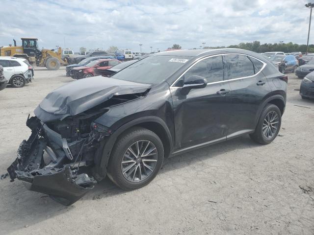 LEXUS NX 250 2023 with VIN 2T2GDCEZ3PC003028 - Photo from auction