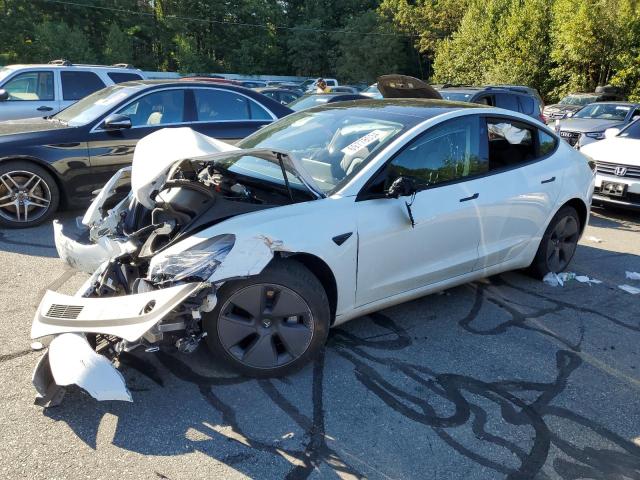 TESLA MODEL 3 2023 with VIN 5YJ3E1EA1PF473407 - Photo from auction