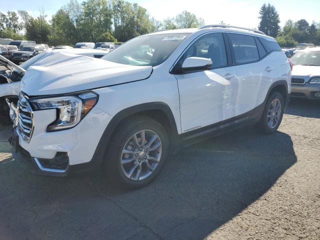 GMC TERRAIN SL 2024 with VIN 3GKALPEG0RL194320 - Photo from auction