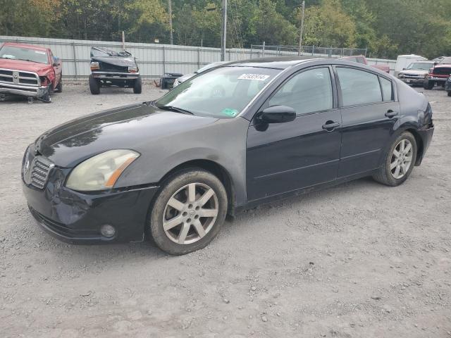 NISSAN MAXIMA SE 2004 with VIN 1N4BA41E04C833069 - Photo from auction