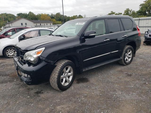 LEXUS GX 460 2013 with VIN JTJBM7FX9D5059208 - Photo from auction