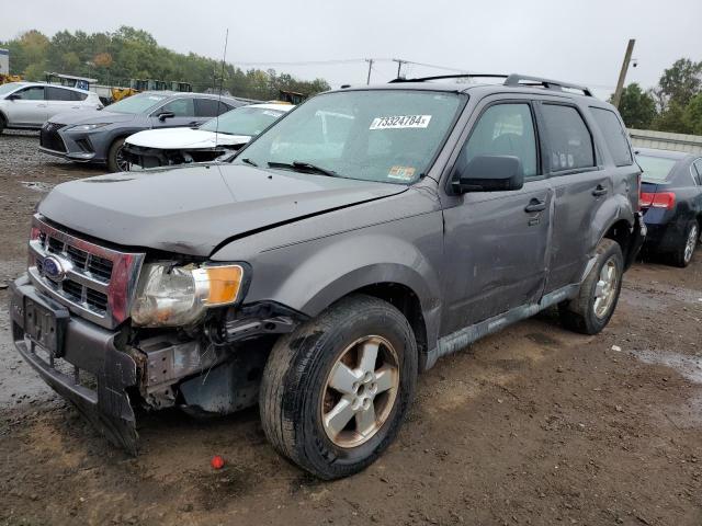 FORD ESCAPE XLT 2011 with VIN 1FMCU0D76BKC58910 - Photo from auction