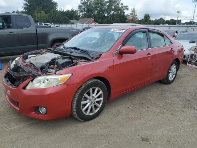 TOYOTA CAMRY SE 2010 with VIN 4T1BK3EK1AU112486 - Photo from auction
