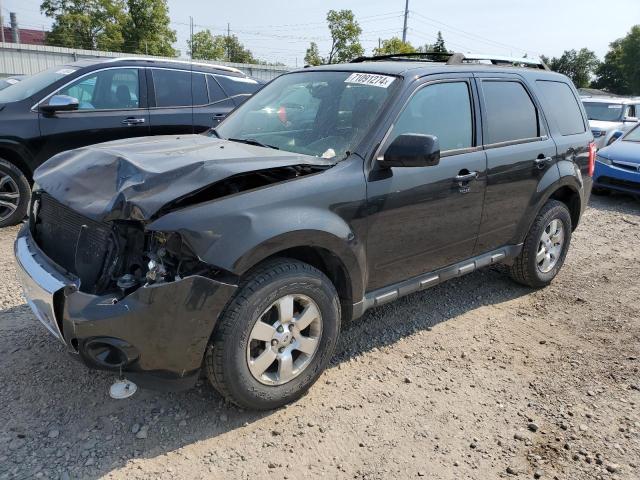 FORD ESCAPE LIM 2011 with VIN 1FMCU9EG3BKC13135 - Photo from auction