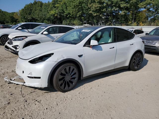 TESLA MODEL Y 2024 with VIN 7SAYGDEF4RA266087 - Photo from auction