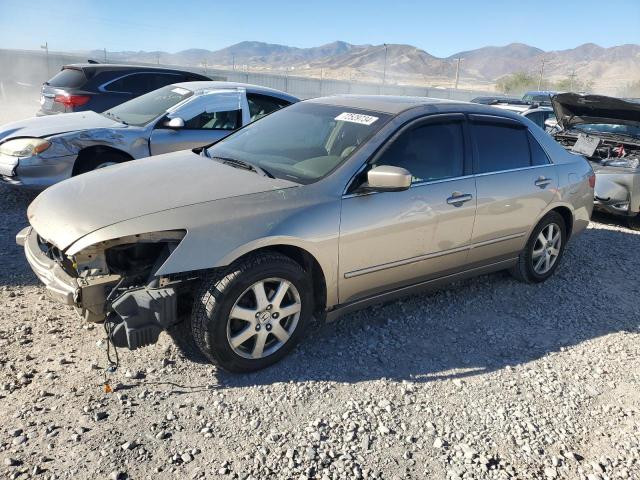 HONDA ACCORD EX 2005 with VIN 1HGCM66595A023271 - Photo from auction