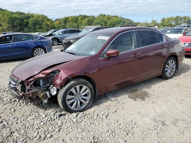 HONDA ACCORD EX 2012 with VIN 1HGCP2F76CA182974 - Photo from auction