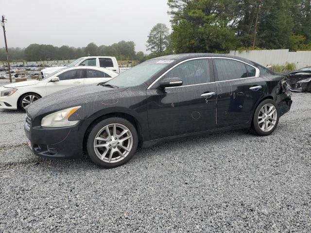 NISSAN MAXIMA S 2011 with VIN 1N4AA5APXBC800676 - Photo from auction