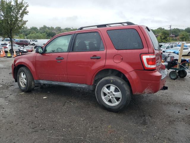 Photo 2 from auction – 2011 FORD ESCAPE XLT with VIN 1FMCU0DG9BKA36846