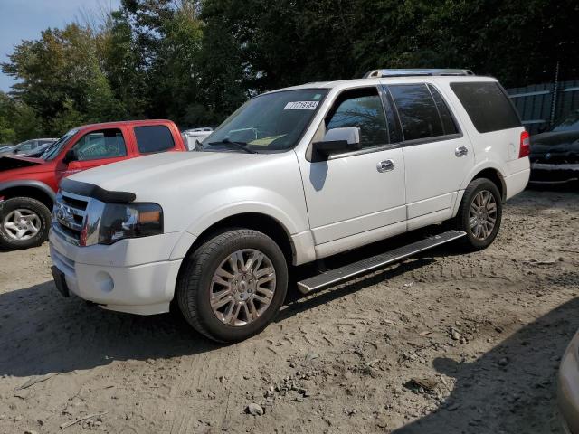 FORD EXPEDITION 2014 with VIN 1FMJU2A56EEF61355 - Photo from auction
