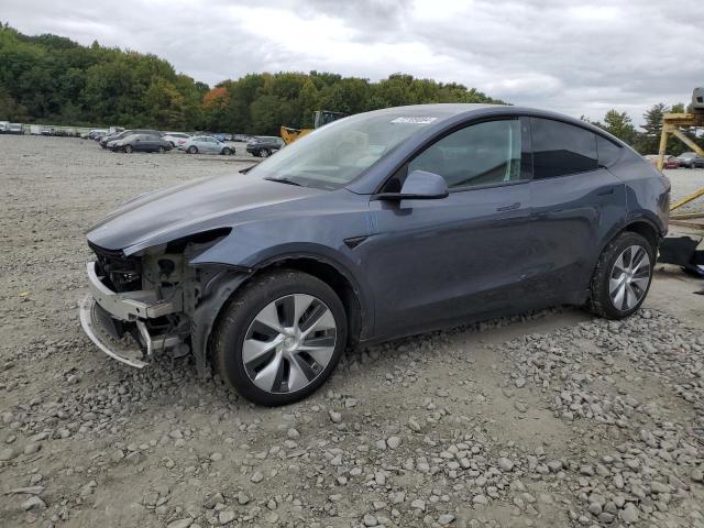 TESLA MODEL Y 2023 with VIN 7SAYGDEE6PF683069 - Photo from auction