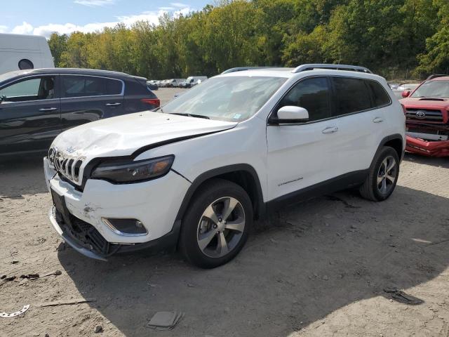 JEEP CHEROKEE L 2020 with VIN 1C4PJMDX8LD562204 - Photo from auction