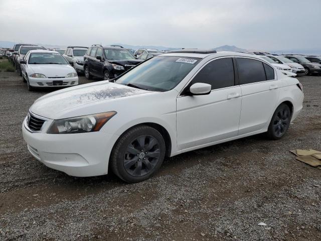 HONDA ACCORD EXL 2010 with VIN 1HGCP2F80AA105622 - Photo from auction
