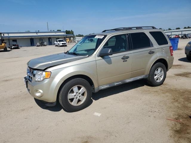 FORD ESCAPE XLT 2010 with VIN 1FMCU0D75AKA44084 - Photo from auction