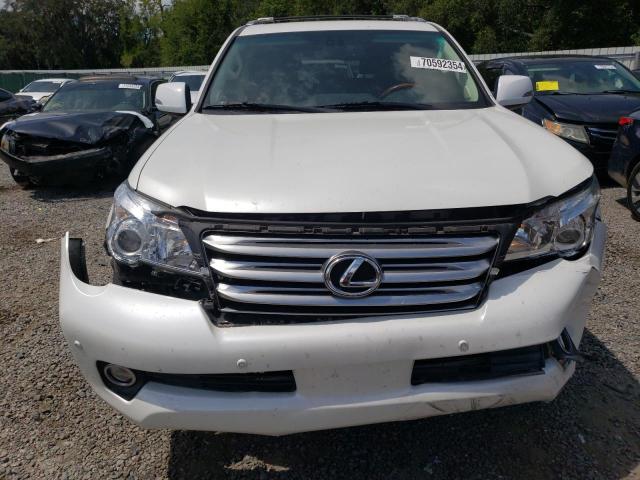 Photo 5 from auction – 2010 LEXUS GX 460 with VIN JTJBM7FX3A5016009