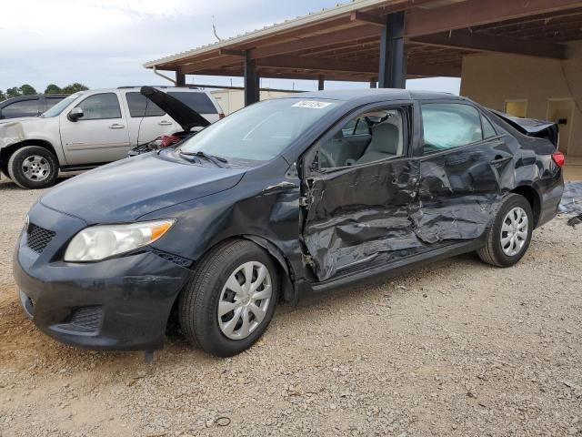 TOYOTA COROLLA 2010 with VIN 1NXBU4EE9AZ342125 - Photo from auction