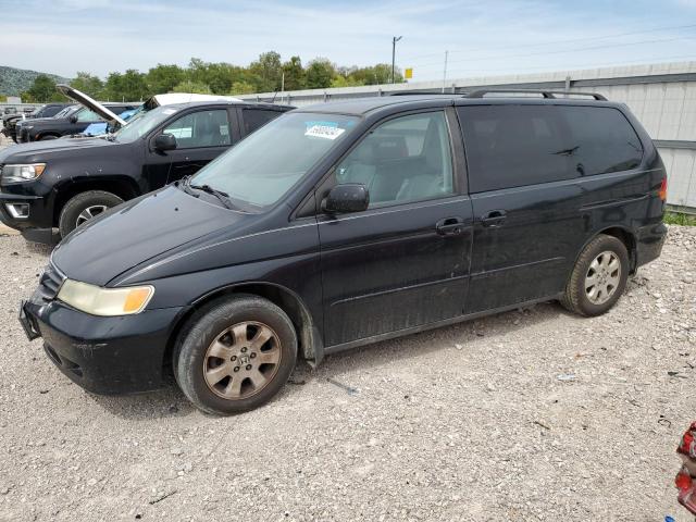HONDA ODYSSEY EX 2003 with VIN 5FNRL18703B093579 - Photo from auction