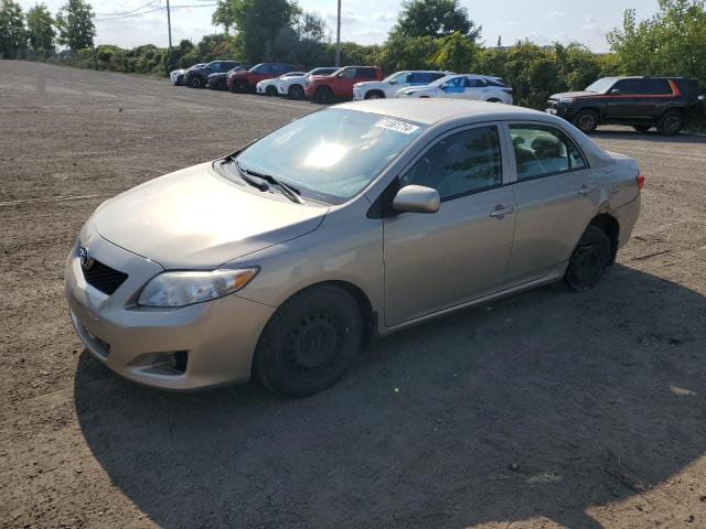 TOYOTA COROLLA BA 2010 z numerem VIN 2T1BU4EE6AC293709 - Zdjęcie z aukcji