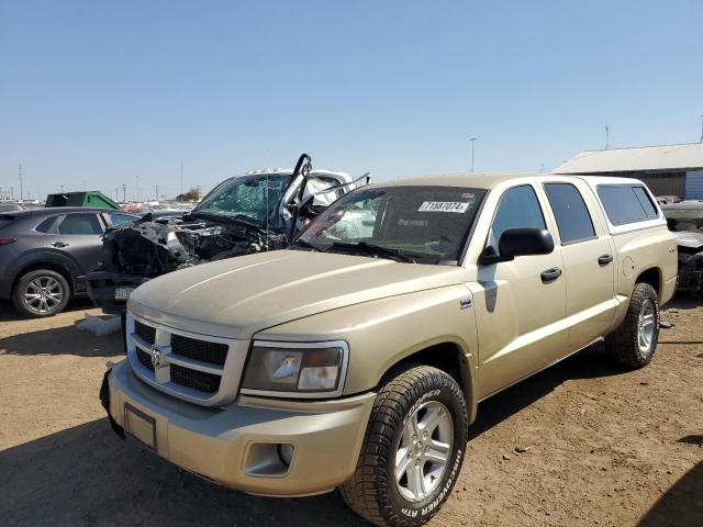 DODGE DAKOTA SLT 2011 with VIN 1D7RW3GP2BS691829 - Photo from auction