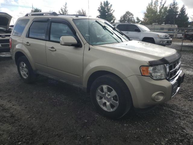 Photo 4 from auction – 2010 FORD ESCAPE LIM with VIN 1FMCU9EG7AKB89551