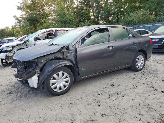TOYOTA COROLLA BA 2009 with VIN 2T1BU40E09C030019 - Photo from auction