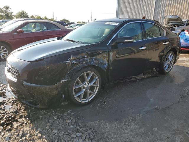 NISSAN MAXIMA S 2011 with VIN 1N4AA5AP6BC812923 - Photo from auction