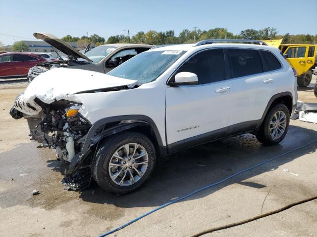 JEEP CHEROKEE L 2019 with VIN 1C4PJMLN4KD287591 - Photo from auction