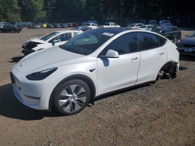 TESLA MODEL Y 2024 with VIN 7SAYGDEE5RF047147 - Photo from auction