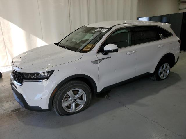 KIA SORENTO LX 2023 with VIN 5XYRGDLC3PG183317 - Photo from auction