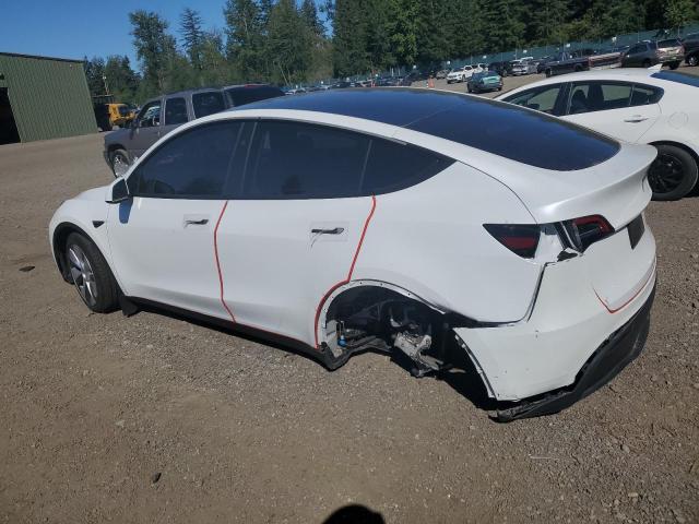 Photo 2 from auction – 2024 TESLA MODEL Y with VIN 7SAYGDEE5RF047147