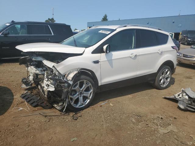 FORD ESCAPE TIT 2017 with VIN 1FMCU0J92HUD75001 - Photo from auction