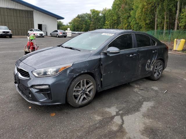 KIA FORTE EX 2019 with VIN 3KPF54AD0KE029352 - Photo from auction