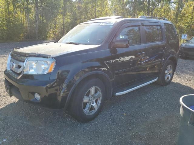 HONDA PILOT EXL 2010 with VIN 5FNYF4H65AB504273 - Photo from auction