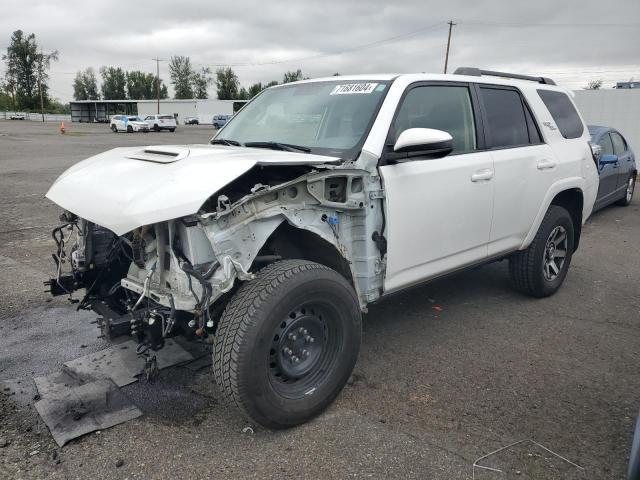 TOYOTA 4RUNNER SR 2019 with VIN JTEBU5JR2K5669167 - Photo from auction
